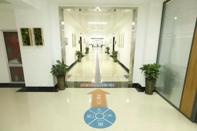 高端体检区