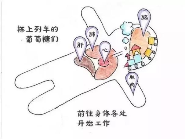 78ed7e20acf812d38ccaa2721a368e8c