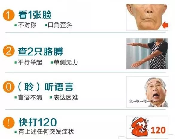12.webp
