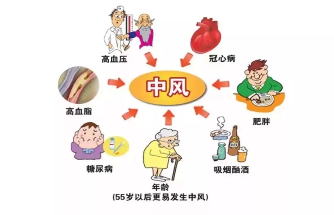 11.webp