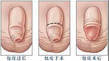 微信图片_20200127143916