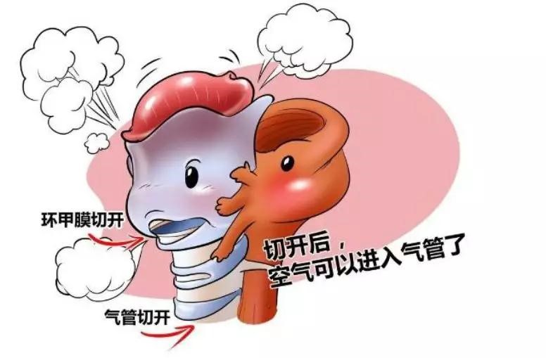微信图片_20191223102616