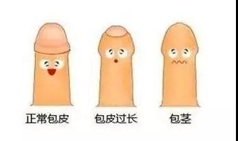 微信图片_20200127143930