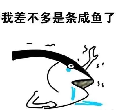 5165816dd8e6c059e73df34d0f137cad