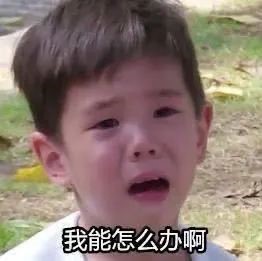 8be917b2e3398d02b8e60e5c56b36b22