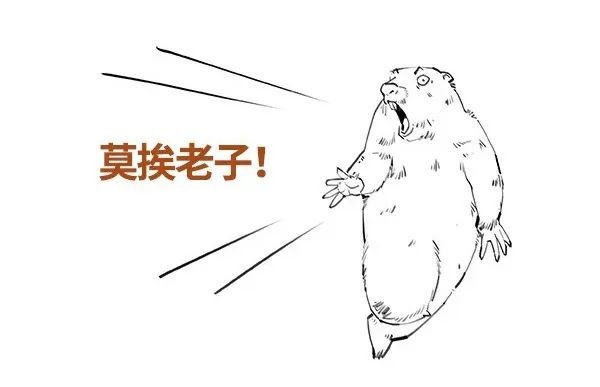 1c100d800d15ec865cf1779f93da4cb9