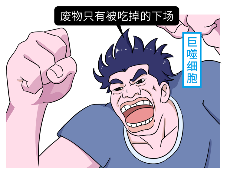 495ac65f1456380d39848ea1f4790745