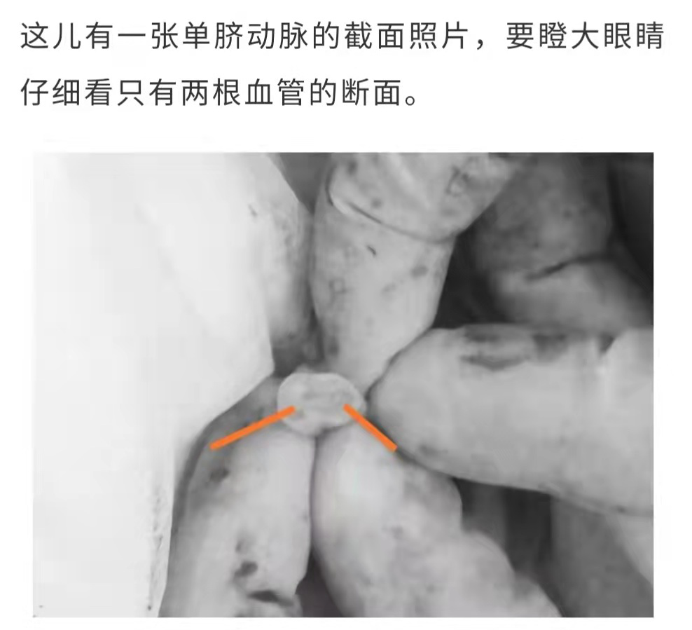e3a1e6079cbeb5bf08dd6246b3724651